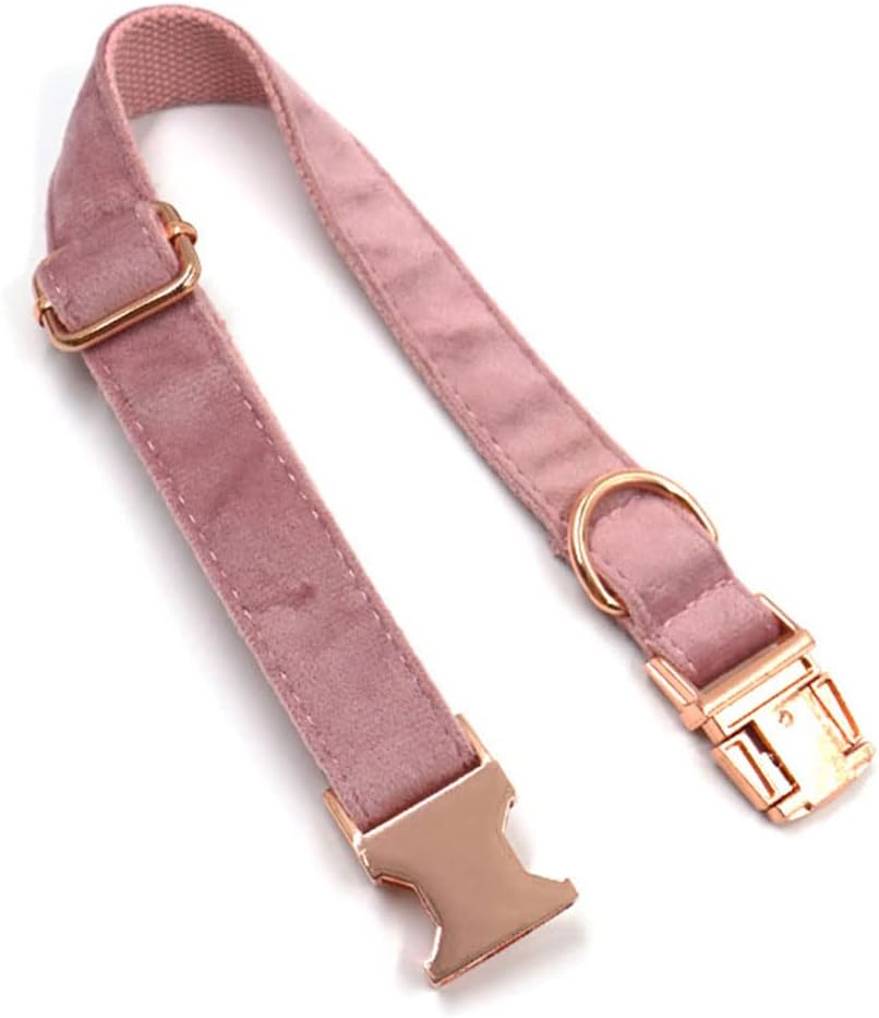 PETDURO Custom Dog Collar Personalized with Name Engraved Rose Gold Metal Buckle for Large Medium Small Girl Dogs - Dog Leash and Bow Tie Available - Soft Comfy Velvet (Champagne Pink RG, XL)