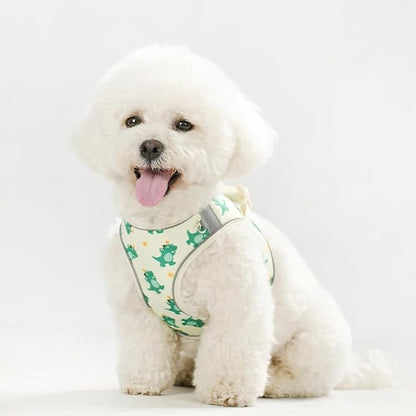 Step in Dog Harness and Leash Set, Flower Adjustable Easy Walk Puppy Harnesses, Soft Mesh No Pull Pet Vest Harness for Small Dogs and Cats(Beige, XXS)