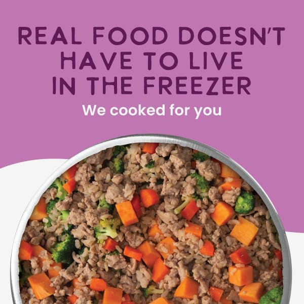 Health Extension Gently Cooked Lamb & Carrot Dog Food, Human-Grade & Shelf-Stable with Superfoods, Supports Digestion, Immunity, Skin & Coat, 3 oz Pouch (Pack of 20)