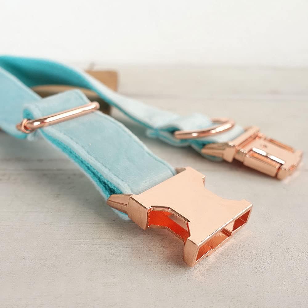 PETDURO Custom Dog Collar Personalized with Name Engraved Quick Release Rose Gold Metal Buckle for Large Medium Small Girl Dogs - Dog Leash and Bow Tie Available - Soft Comfy Velvet (Mint Blue, S)