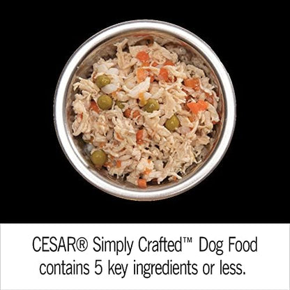 Cesar Simply Crafted Adult Wet Dog Food Meal Topper, Variety Pack, 1.3 oz Tubs (24 Count, Pack of 1)