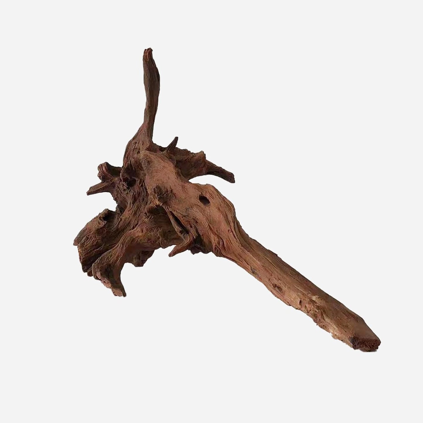 LYPHARD AQUARIUMS Natural Driftwood for Aquarium Decor, L20.47×W8.66×H12.99 Inches Large Drift Wood Decorations for Reptile Hide, Fish Tank, Optional Shapes