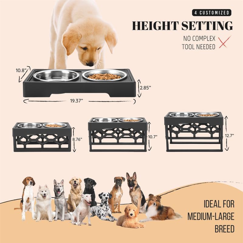 AVERYDAY Large Dog Bowls Elevated, 4 Height Adjustable Raised Dog Bowl Stand with 4 Stainless Steel Food and Water Bowls Set, Tall Dogs Feeding Station with Anti-Slip Base for Medium Large Breeds Dogs