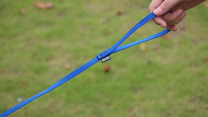AMAGOOD 6 FT Cat Leash, Strong and Durable Traditional Style Leash with Easy to Use Collar Hook,Cat Lead Great for Cats (3/8 in x 6 ft,Black and Blue(2-Pack))