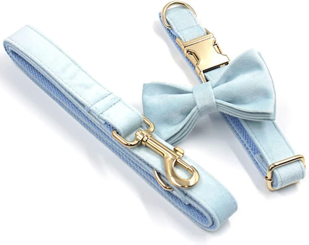 PETDURO Personalized Dog Collar Sky Blue Soft Velvet for Large Medium Small Boy Girl Dogs - Custom Collar with Name Phone Number Engraved on Gold Metal Buckle - Add Leash Bow Set via Customize Now