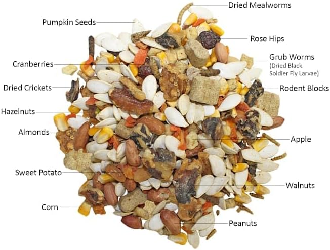 Squirrel Complete (1.75 lb.) - Healthy Natural Food - Nutritionally Complete Diet for Pet & Captive Squirrels - Ground, Grey, and Flying Squirrels, & Chipmunks