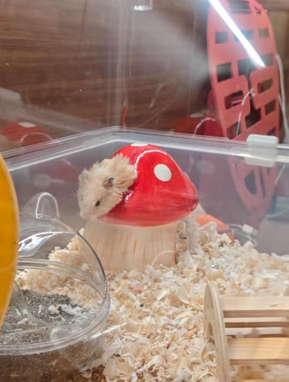 Mushroom Ceramic Hamster Hideout, Food Bowl, Syrian Cage Accessories, Ceramic Larger House and Hideouts, Chew-Proof Decor, Cool Bed Ideal for Syrian Hamster Dwarf Gerbil Mice Golden Bear