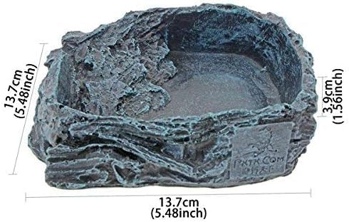 RUIAN Reptile Feeding Bowl Dish Bearded Dragon Food Water Terrarium Dish for Lizards, Geckos, Snakes, Tortoises, Chameleons(Large)