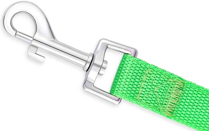 AMAGOOD 6 FT Puppy/Dog Leash, Strong and Durable Traditional Style Leash with Easy to Use Collar Hook,Dog Lead Great for Small and Medium and Large (Green,5/8" x 6 Feet)