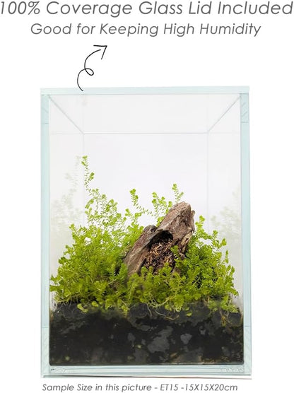 Nano Tall Rimless Frameless Extra Clear Glass Aquarium, Low Iron Glass Tank, 5mm Glass, White Leveling Mat Included, w/Lids Options
