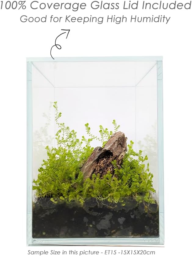 Nano Tall Rimless Frameless Extra Clear Glass Aquarium, Low Iron Glass Tank, 5mm Glass, White Leveling Mat Included, w/Lids Options