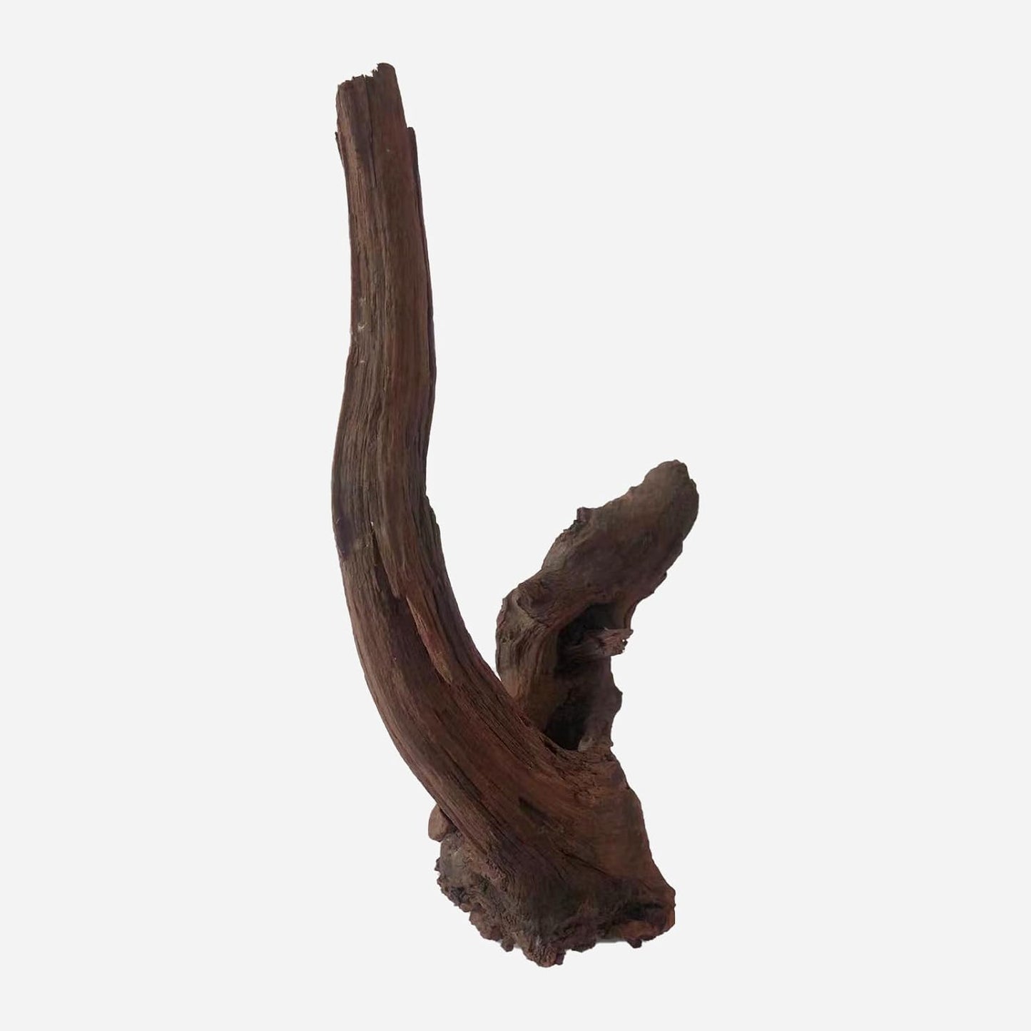LYPHARD AQUARIUMS Natural Driftwood for Aquarium Decor, L12.2×W7.09×H18.5 Inches Large Drift Wood Decorations for Reptile Hide, Fish Tank, Optional Shapes