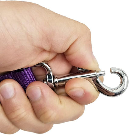 Nylon Dog Training Leash, Traction Rope, 4/5/6 Feet Long, 3/4 Inch 1 Inch Wide, for Small and Medium Dogs (1'' x 5 FT, Purple)