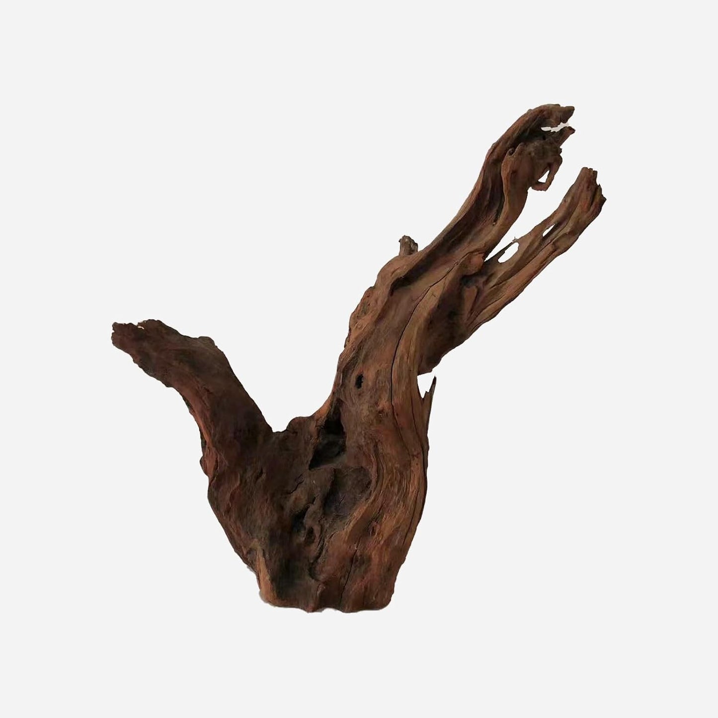 LYPHARD AQUARIUMS Natural Driftwood for Aquarium Decor, L17.72×W6.3×H19.69 Inches Large Drift Wood Decorations for Reptile Hide, Fish Tank, Optional Shapes