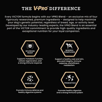 VICTOR Super Premium Dog Food – Professional Dry Dog Food – Super Premium Kibble with 26% Protein – Gluten-Free with Beef, Chicken & Pork Meals – for High Energy and Active Dogs & Puppies, 40lbs