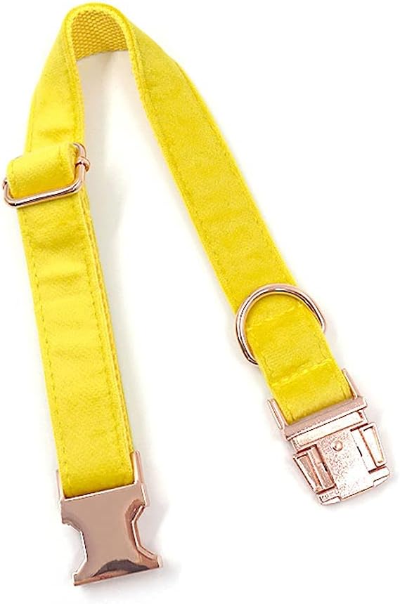 PETDURO Custom Dog Collar Personalized with Name Engraved Quick Release Rose Gold Metal Buckle for Large Medium Small Girl Dogs - Dog Leash and Bow Tie Available - Soft Comfy Velvet (Yellow, L)