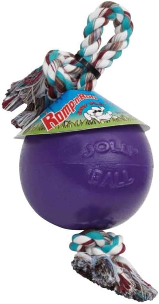 Jolly Pets Romp-n-Roll Rope and Ball Dog Toy, 6 Inches/Medium, Purple