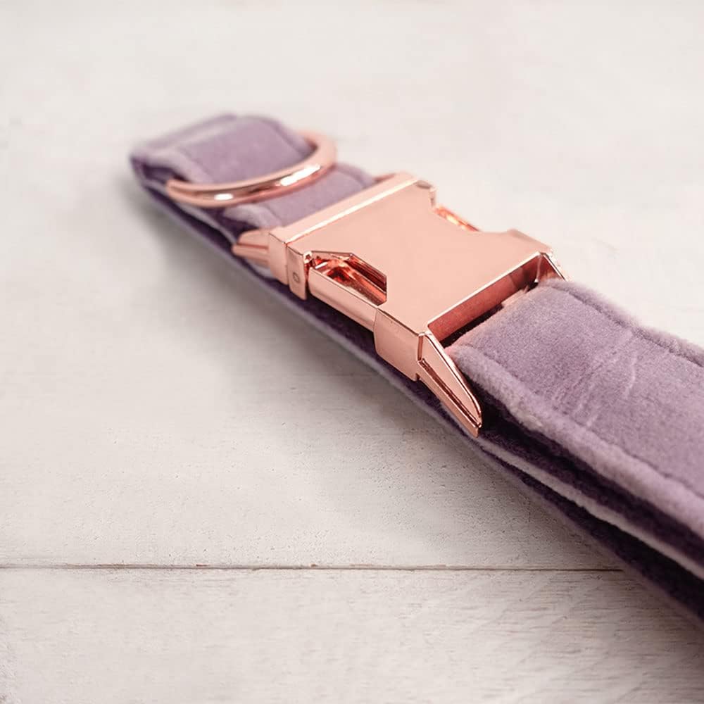 PETDURO Personalized Dog Collar Lavender Soft Velvet for Large Medium Small Boy Girl Dogs - Custom Collar with Name Phone Engraved on Rose Gold Metal Buckle - Add Leash Bow Set via Customize Now