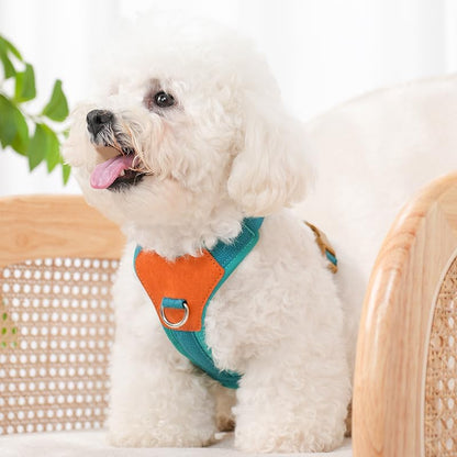 Blue Medium No Pull Dog Harness for Small Dogs, Anti-Escape Easy Walk Puppy Harness with 2 Leash Clips, Adjustable Dog Vest Harness for Training Walking(Blue, M)