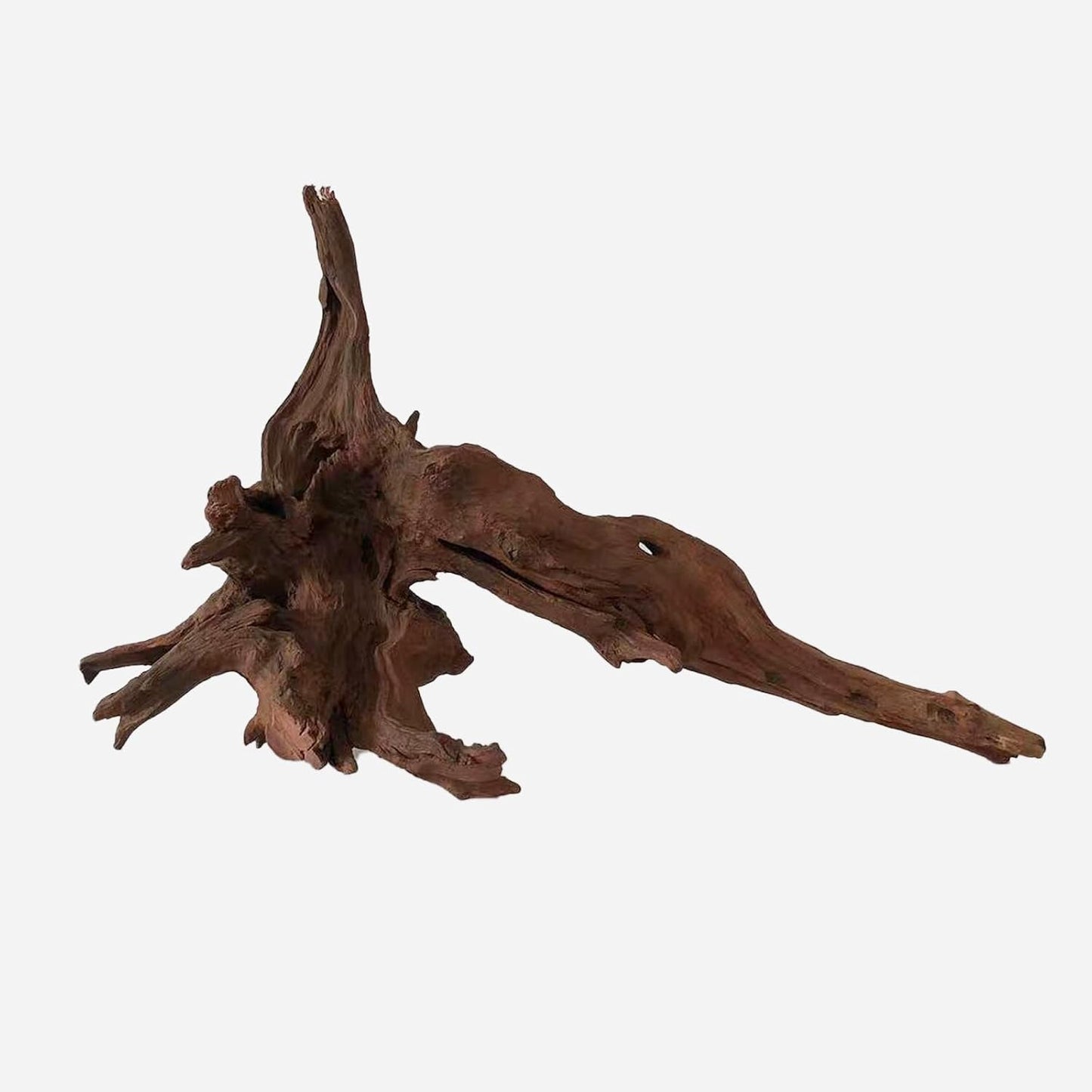 LYPHARD AQUARIUMS Natural Driftwood for Aquarium Decor, L20.47×W8.66×H12.99 Inches Large Drift Wood Decorations for Reptile Hide, Fish Tank, Optional Shapes