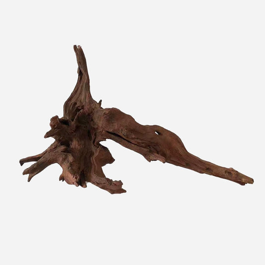 LYPHARD AQUARIUMS Natural Driftwood for Aquarium Decor, L20.47×W8.66×H12.99 Inches Large Drift Wood Decorations for Reptile Hide, Fish Tank, Optional Shapes