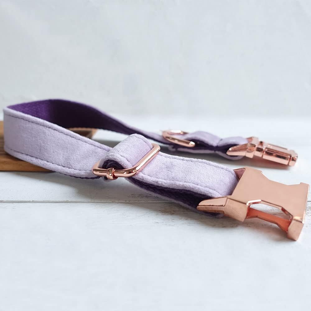 PETDURO Personalized Dog Collar Lavender Soft Velvet for Large Medium Small Boy Girl Dogs - Custom Collar with Name Phone Engraved on Rose Gold Metal Buckle - Add Leash Bow Set via Customize Now