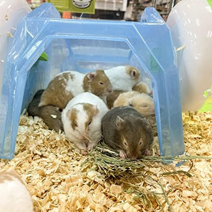 Blue Mountain Hay | Fresh Organic Oat Hay (40 Ounce) | Good for Sensitive Digestion | High-Altitude Hay Pet Food for Rabbits, Guinea Pigs, Chinchillas, Hamsters, and Other Small Pets