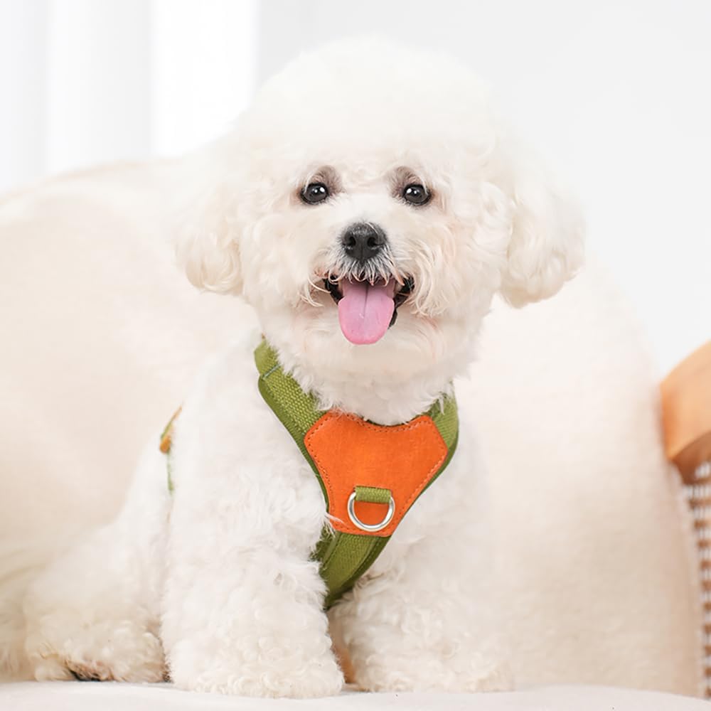 Green XS No Pull Dog Harness for Small Dogs, Anti-Escape Easy Walk Puppy Harness with 2 Leash Clips, Adjustable Dog Vest Harness for Training Walking(Green, XS)