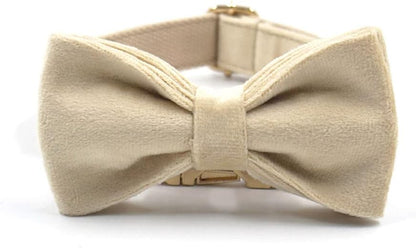 PETDURO Custom Dog Collar Personalized with Name Engraved Quick Release Rose Gold Metal Buckle for Large Medium Small Girl Dogs - Dog Leash and Bow Tie Available - Soft Comfy Velvet (Pale Brown, XL)