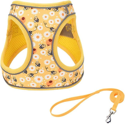 Step in Dog Harness and Leash Set, Flower Adjustable Easy Walk Puppy Harnesses, Soft Mesh Pet Vest Harness Small Size Dog Adjustable No Pull Dog Harness for Small Dogs and Cats(Bee, XXS)