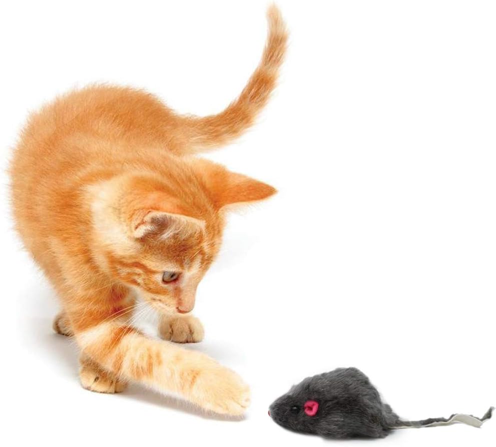 20 PCS Furry Squeak Mouse Rattle Sound Plush Mice Fur Interactive Catch Play Catcher Pet Kitten Cat Toys (Random Color)