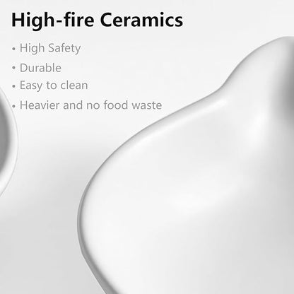 Ceramic Shallow Cat Food Bowls,Whisker Friendly Small Cat Dishes for Indoor Cats Kitten Set of 2