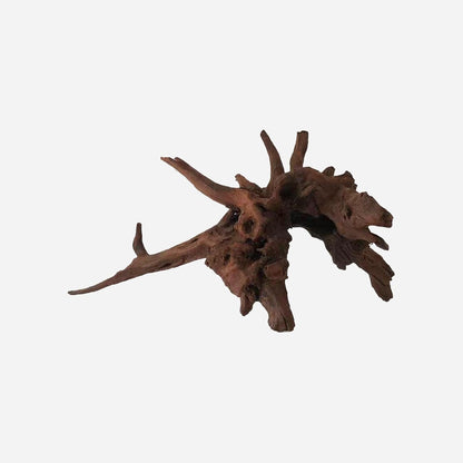 LYPHARD AQUARIUMS Natural Driftwood for Aquarium Decor, L24.41×W12.2×H11.81 Inches Large Drift Wood Decorations for Reptile Hide, Fish Tank, Optional Shapes