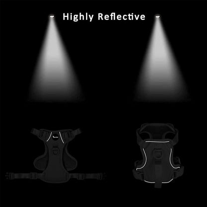 Petmolico Dog Harness for Small Dogs, Cute Harness Vest with Two Leash Clips and Soft Handle, Reflective Easy Walk Puppy Vest - Pink Leopard, Small