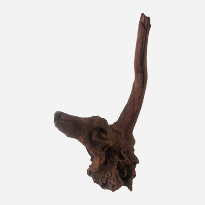 LYPHARD AQUARIUMS Natural Driftwood for Aquarium Decor, L12.2×W7.09×H18.5 Inches Large Drift Wood Decorations for Reptile Hide, Fish Tank, Optional Shapes