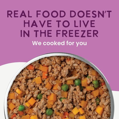 Health Extension Gently Cooked Grain-Free Salmon Dog Food, Human-Grade & Shelf-Stable with Superfoods, Supports Digestion, Immunity, Skin & Coat, 9 oz Pouch (Pack of 5)