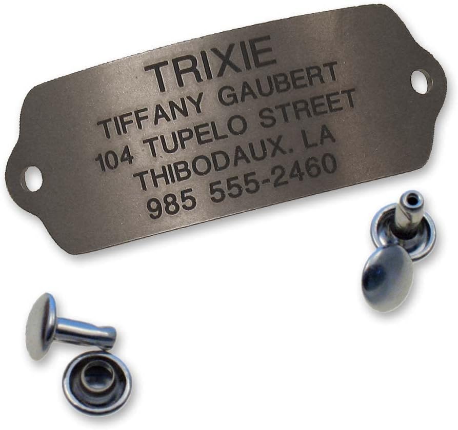 LuckyPet Rivet-On Pet ID Tag - Personalized, Silent and Customized - Suitable for Cats and Dogs - Heavy-Duty Pet Identification - Engraved Tags - Large, Matte Finish Stainless Steel