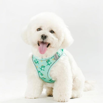 Step in Dog Harness and Leash Set, Flower Adjustable Easy Walk Puppy Harnesses, Soft Mesh No Pull Pet Vest Harness for Small Medium Dogs(Green, M)
