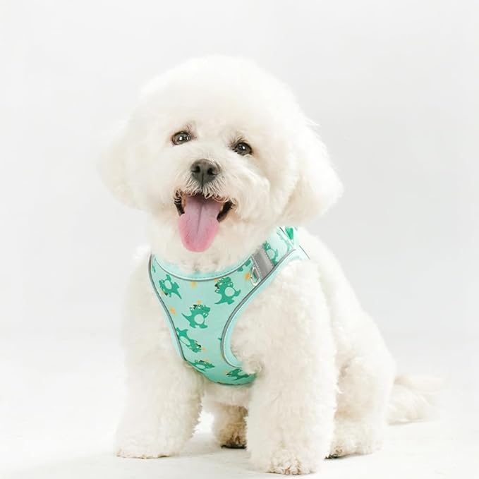Step in Dog Harness and Leash Set, Flower Adjustable Easy Walk Puppy Harnesses, Soft Mesh No Pull Pet Vest Harness for Small Medium Dogs(Green, S)