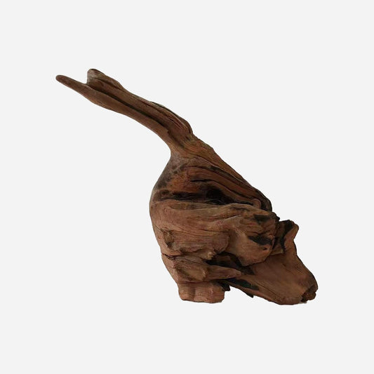 LYPHARD AQUARIUMS Natural Driftwood for Aquarium Decor, L20.87×W7.87×H17.32 Inches Large Drift Wood Decorations for Reptile Hide, Fish Tank, Optional Shapes
