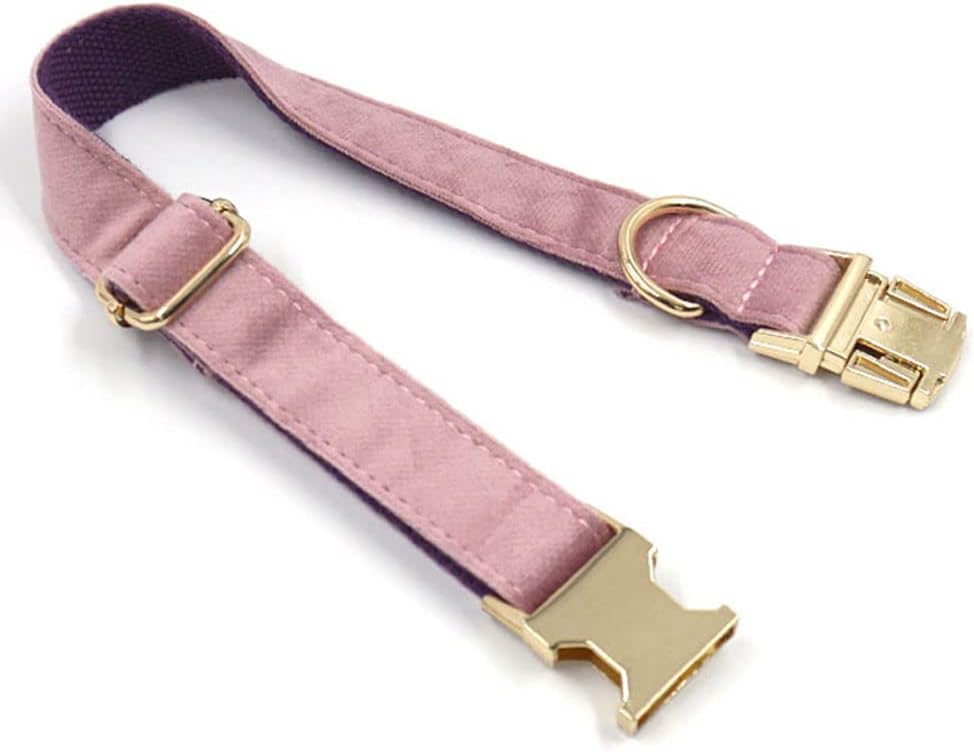 PETDURO Personalized Dog Collar Pink Purple Soft Velvet for Large Medium Small Boy Girl Dogs - Custom Collar with Name Phone Number Engraved on Gold Metal Buckle - Add Leash Bow Set via Customize Now