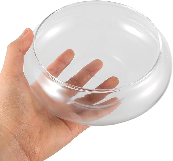 POPETPOP Small Fish Bowl, Transparent Glass Hydroponic Vase for Home Decor, Round Shallow Planter for Daffodils Succulents and Aquatic Plants - 5.9 Inch