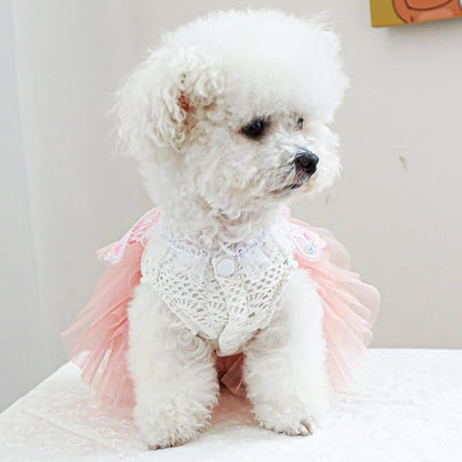 ANIAC Butterfly Dog Dress with Pink Tutu Funny Dog Clothes with Wing Girl Puppy Dress for Small Dogs Pet Butterfly Costume Holiday Cat Outfit for Halloween Birthday Wedding (Pink, X-Small)