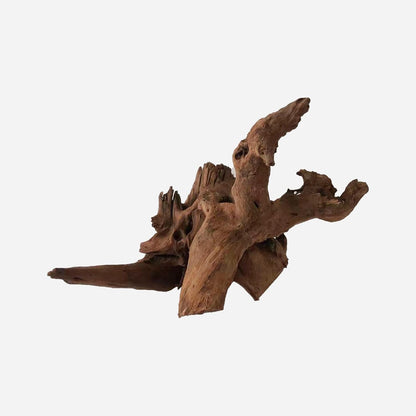 LYPHARD AQUARIUMS Natural Driftwood for Aquarium Decor, L15.35×W11.42×H9.84 Inches Large Drift Wood Decorations for Reptile Hide, Fish Tank, Optional Shapes
