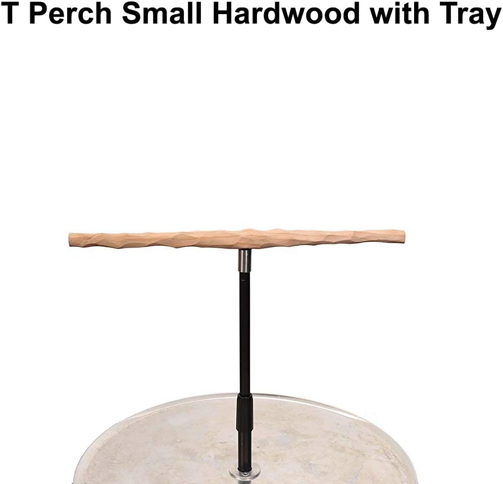 Parrot Training Perch Stand with Potty Tray (T Perch Hardwood, Small)