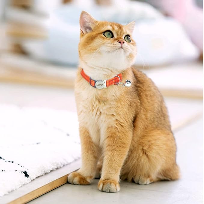Personalized Reflective Cat Collar with Bell and Breakaway Buckle - Engraved Name and Phone Number