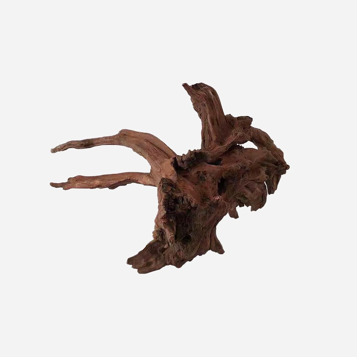 LYPHARD AQUARIUMS Natural Driftwood for Aquarium Decor, L21.26×W18.9×H11.02 Inches Large Drift Wood Decorations for Reptile Hide, Fish Tank, Optional Shapes