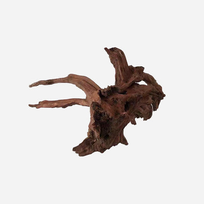 LYPHARD AQUARIUMS Natural Driftwood for Aquarium Decor, L21.26×W18.9×H11.02 Inches Large Drift Wood Decorations for Reptile Hide, Fish Tank, Optional Shapes