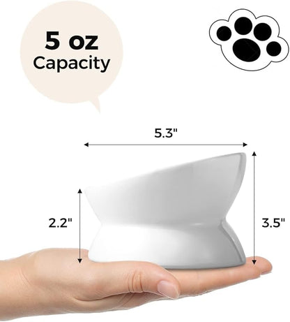 LoeJan Elevated Cat Food Bowl, 5 Oz Ceramic Raised and Tilted Water Bowl, Anti Vomiting and Protect Pets' Spines Dishes for Small Dog, Fat Faced Cat, Kitten (White, 2 Pack)