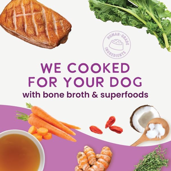 Health Extension Gently Cooked Grain-Free Duck & Kale Dog Food, Human-Grade & Shelf-Stable with Superfoods, Supports Digestion, Immunity, Skin & Coat, 9 oz Pouch (Pack of 10)